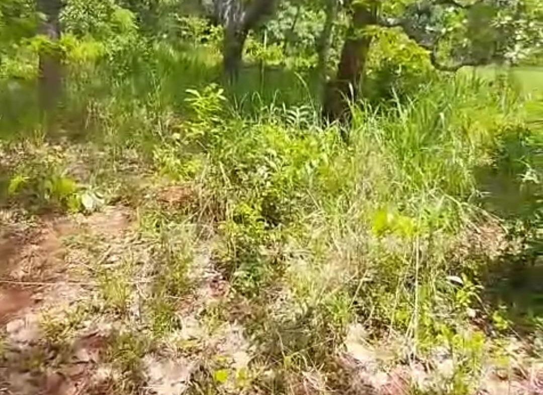 Tenth image of Kitson Tn, Paul Mountain in Spanish Town, St. Catherine, Jamaica - property is For Sale