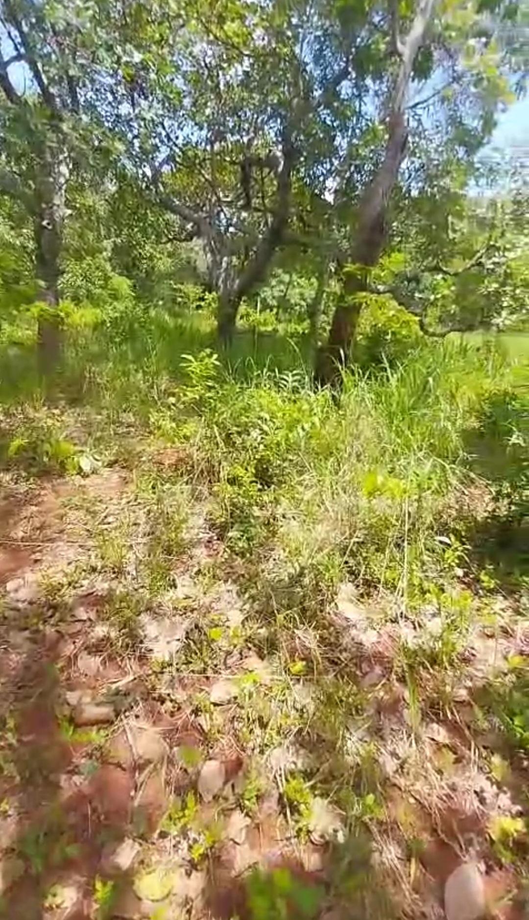 Tenth image of Kitson Tn, Paul Mountain in Spanish Town, St. Catherine, Jamaica - property is For Sale