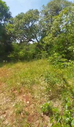 First image of Kitson Tn, Paul Mountain in Spanish Town, St. Catherine, Jamaica - property is For Sale