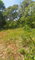 First image of Kitson Tn, Paul Mountain in Spanish Town, St. Catherine, Jamaica - property is For Sale