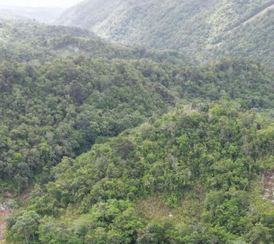 Second image of Buxton in Browns Town, St. Ann, Jamaica - property is For Sale