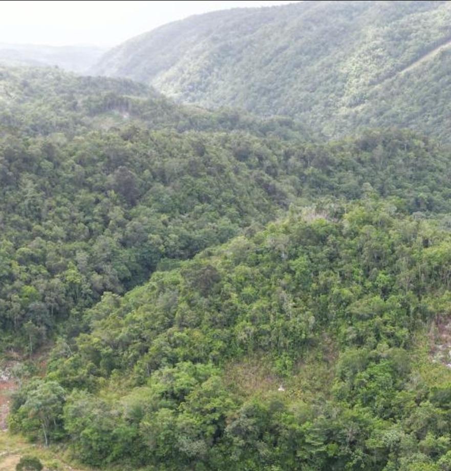Second image of Buxton in Browns Town, St. Ann, Jamaica - property is For Sale