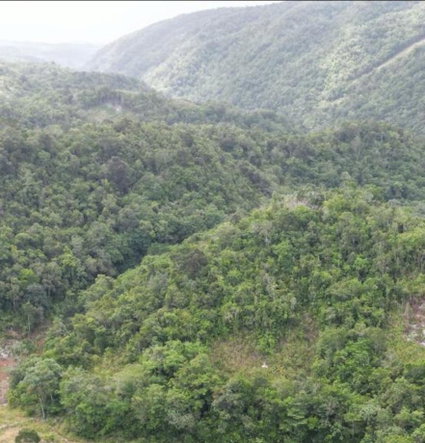 Second image of Buxton in Browns Town, St. Ann, Jamaica - property is For Sale