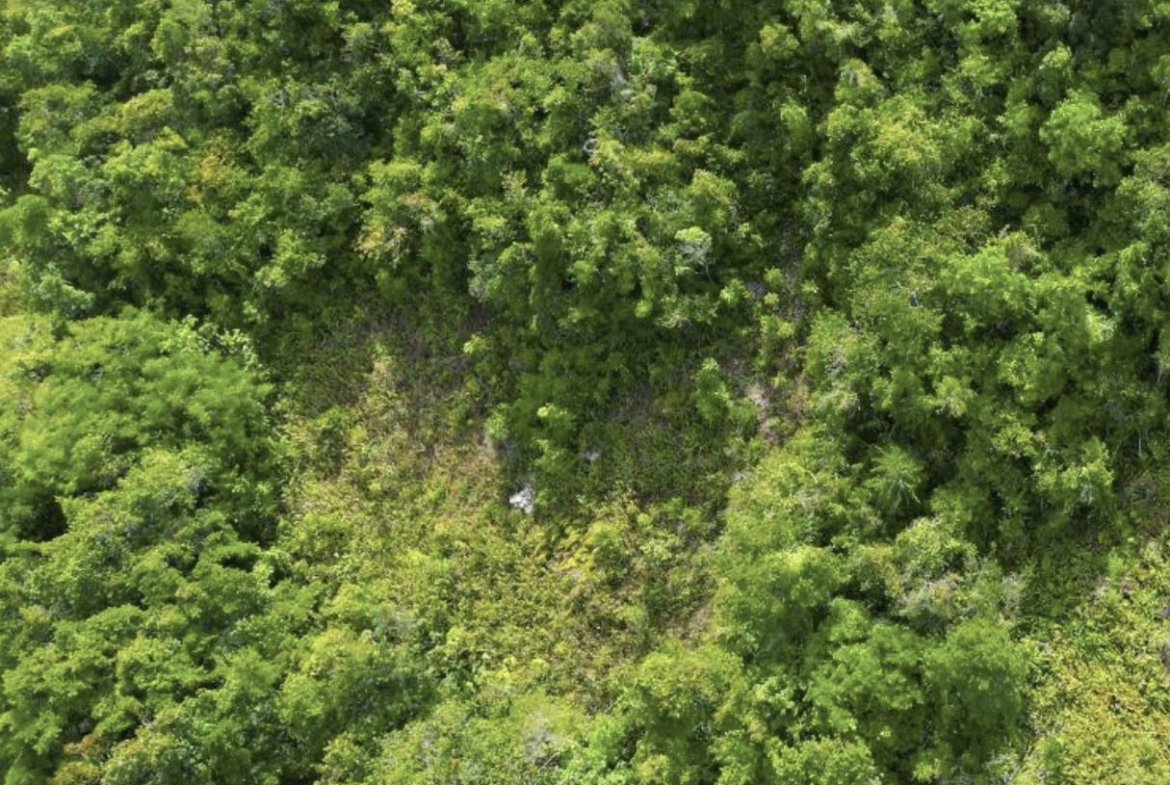 First image of Buxton in Browns Town, St. Ann, Jamaica - property is For Sale