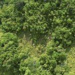 First image of Buxton in Browns Town, St. Ann, Jamaica - property is For Sale