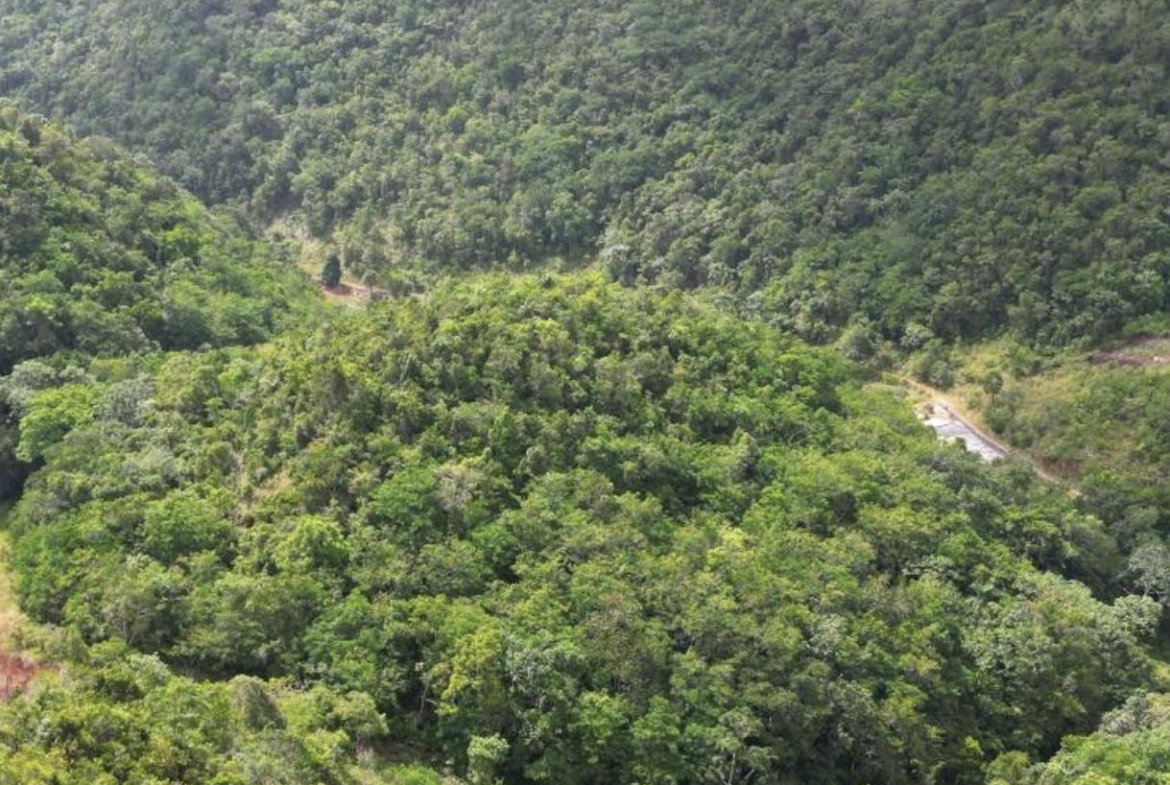Third image of Buxton in Browns Town, St. Ann, Jamaica - property is For Sale