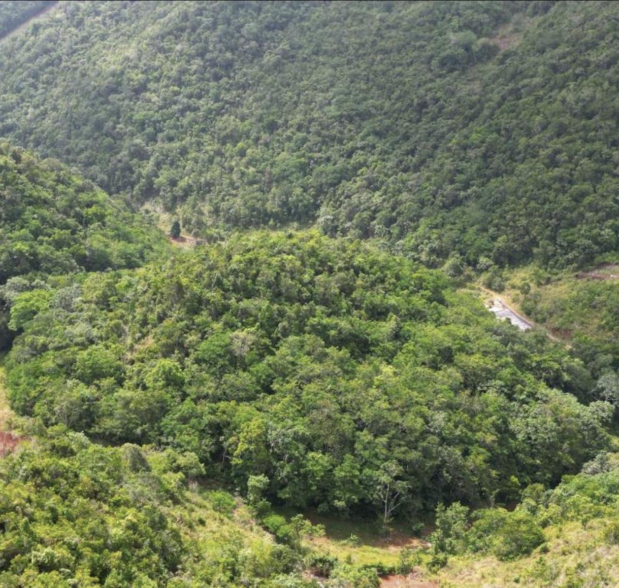 Third image of Buxton in Browns Town, St. Ann, Jamaica - property is For Sale