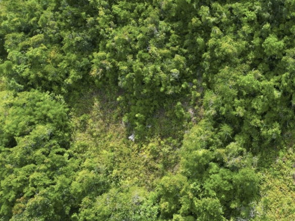 First image of Buxton in Browns Town, St. Ann, Jamaica - property is For Sale