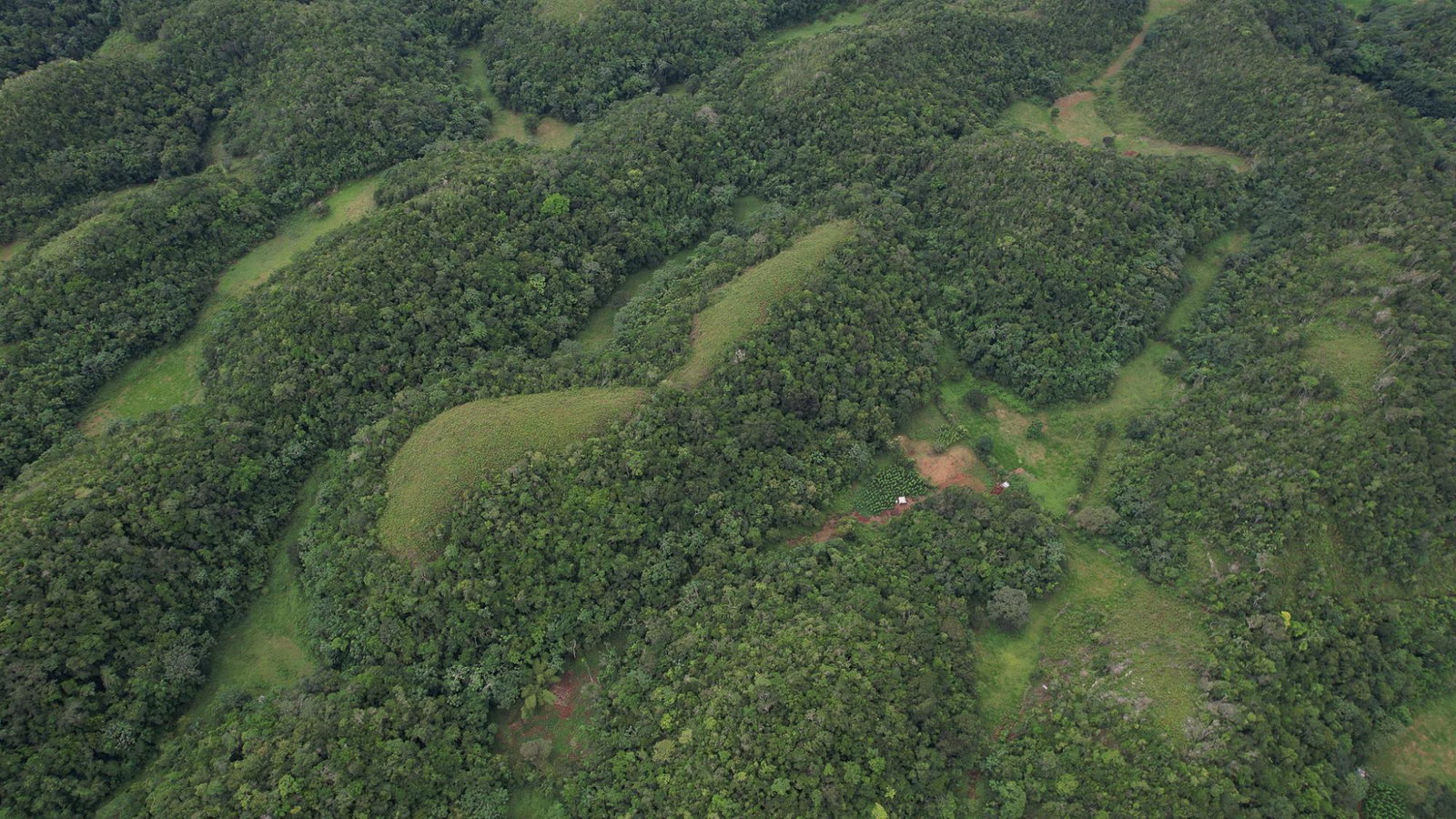 Seventh image of Buxton in Browns Town, St. Ann, Jamaica - property is For Sale
