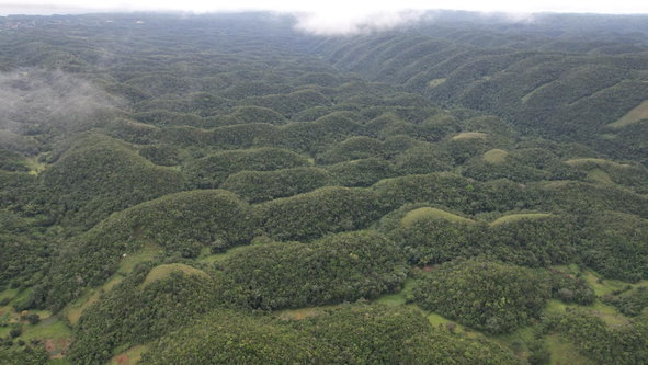 Ninth image of Buxton in Browns Town, St. Ann, Jamaica - property is For Sale