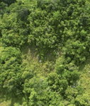 First image of Buxton in Browns Town, St. Ann, Jamaica - property is For Sale
