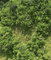 First image of Buxton in Browns Town, St. Ann, Jamaica - property is For Sale