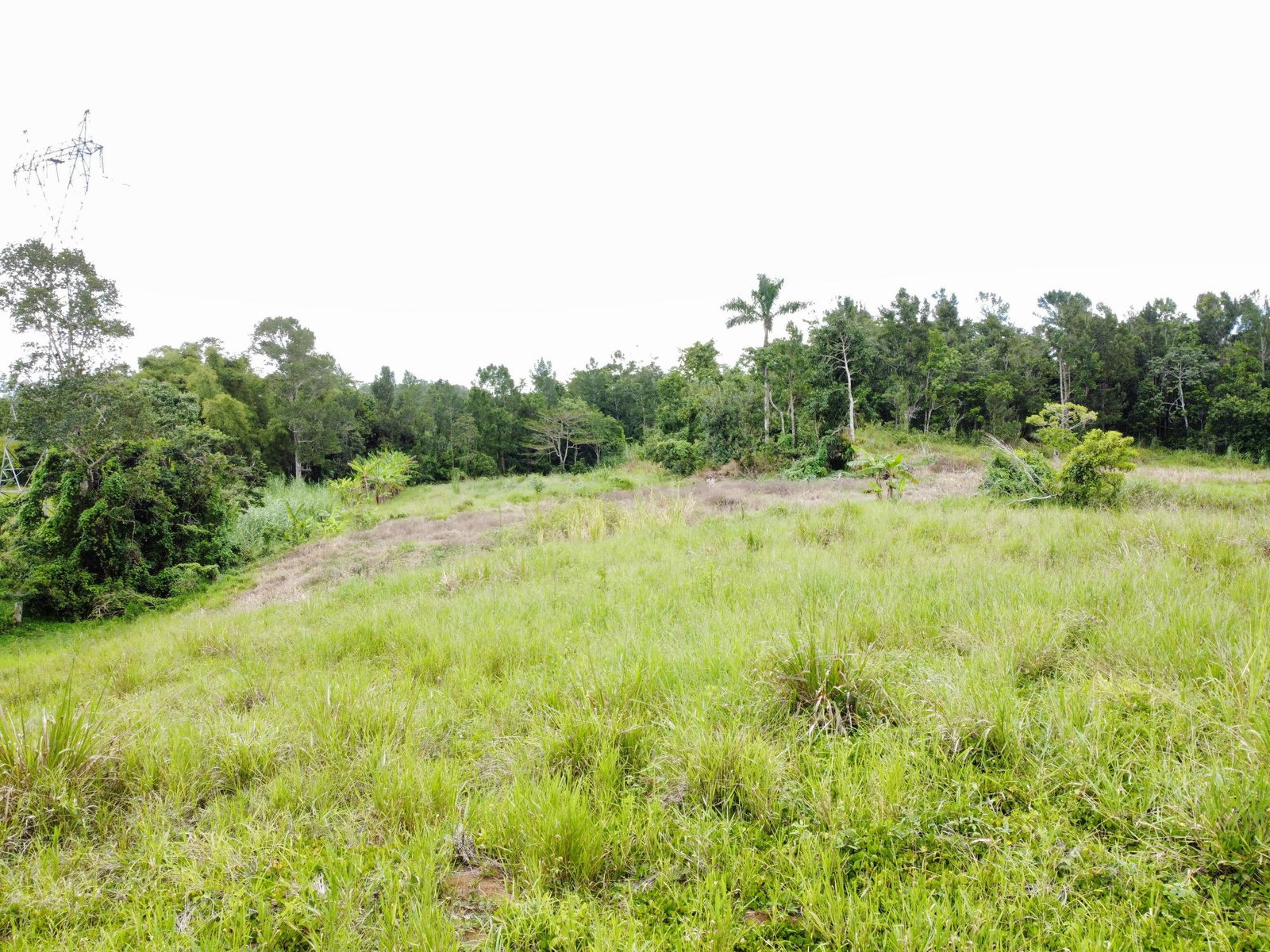 Second image of Mosley Hall, Castle Kelly in GUYS HILL, St. Catherine, Jamaica - property is For Sale