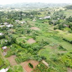 First image of Mosley Hall, Castle Kelly in GUYS HILL, St. Catherine, Jamaica - property is For Sale