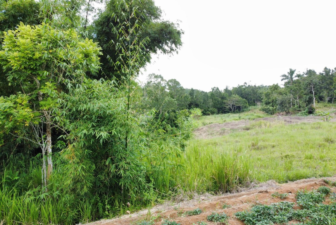 Fifth image of Mosley Hall, Castle Kelly in GUYS HILL, St. Catherine, Jamaica - property is For Sale