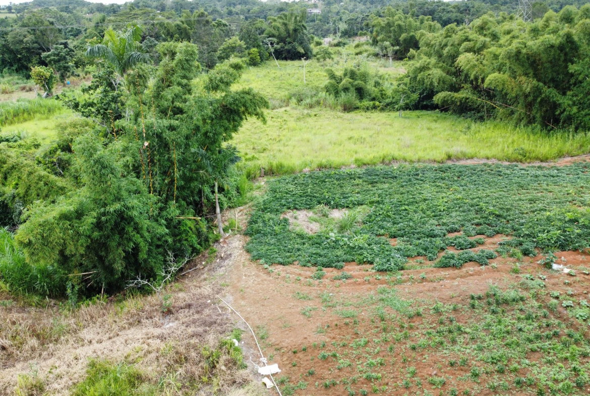 Sixth image of Mosley Hall, Castle Kelly in GUYS HILL, St. Catherine, Jamaica - property is For Sale