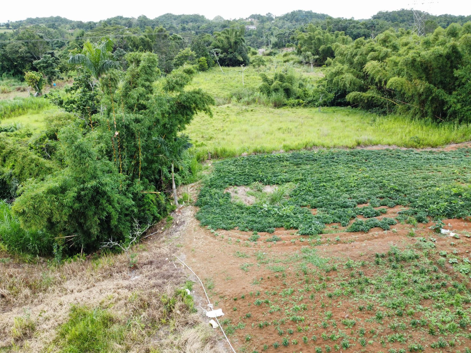 Sixth image of Mosley Hall, Castle Kelly in GUYS HILL, St. Catherine, Jamaica - property is For Sale