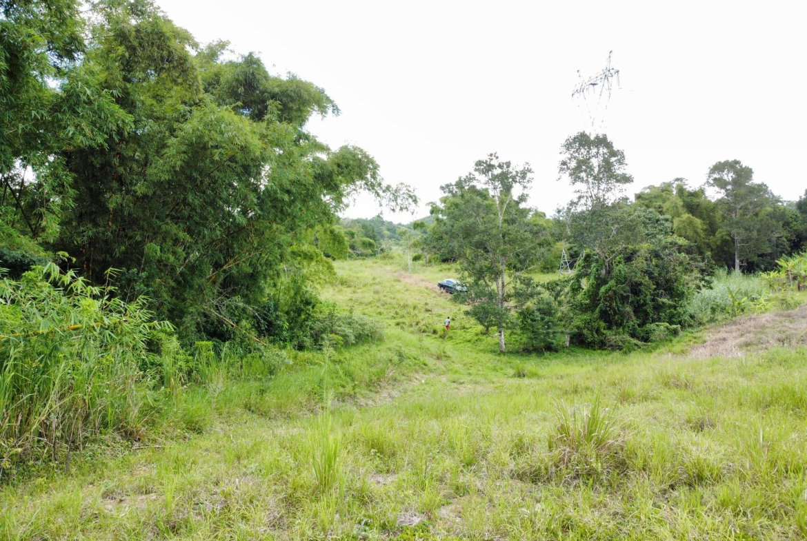 Seventh image of Mosley Hall, Castle Kelly in GUYS HILL, St. Catherine, Jamaica - property is For Sale