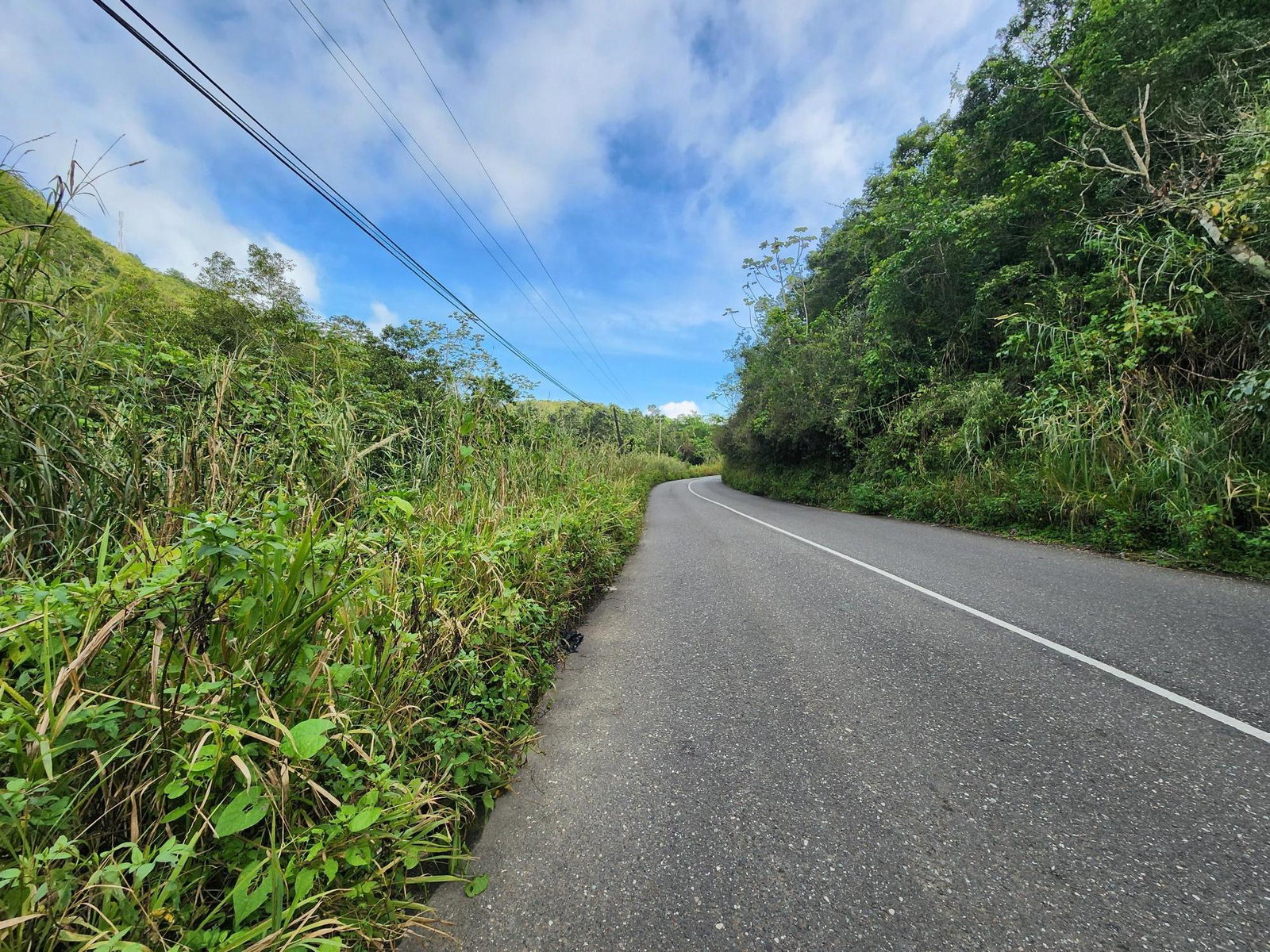 3.5-Acres-of-Prime-Residential-Land-for-Sale-in-St.-Andrew-Jamaica Second image of 5a Part of Rock Hall in Kingston 19, St. Andrew, Jamaica - property is For Sale
