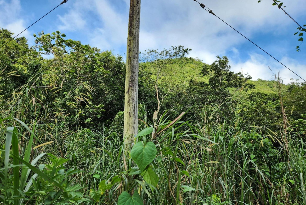 Third image of 5a Part of Rock Hall in Kingston 19, St. Andrew, Jamaica - property is For Sale