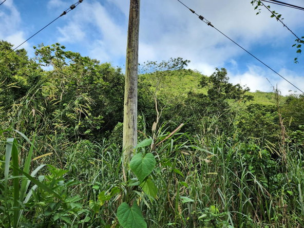Third image of 5a Part of Rock Hall in Kingston 19, St. Andrew, Jamaica - property is For Sale