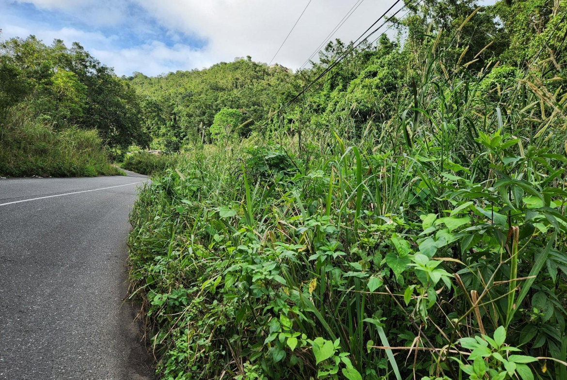 Fourth image of 5a Part of Rock Hall in Kingston 19, St. Andrew, Jamaica - property is For Sale