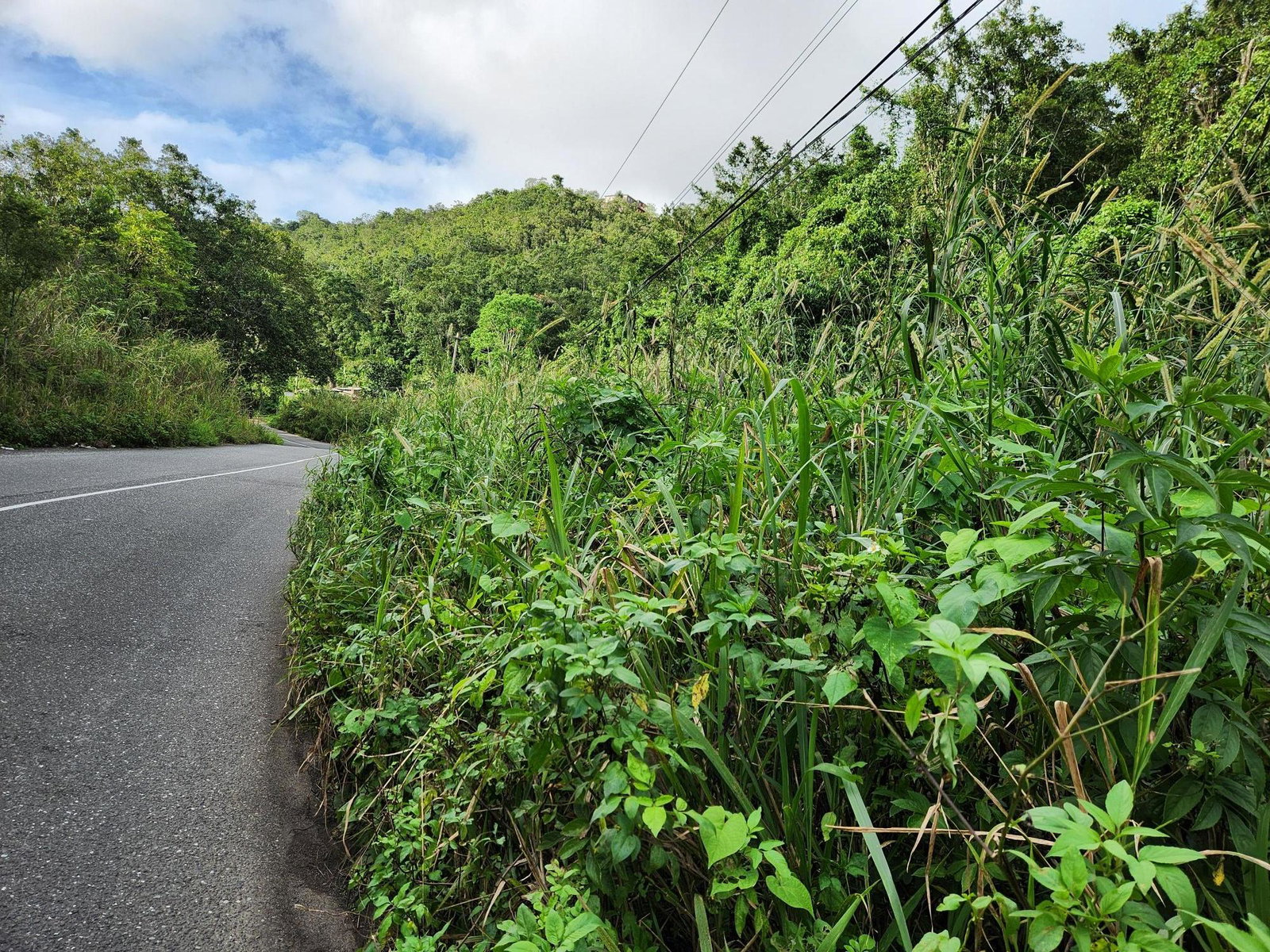 3.5-Acres-of-Prime-Residential-Land-for-Sale-in-St.-Andrew-Jamaica Fourth image of 5a Part of Rock Hall in Kingston 19, St. Andrew, Jamaica - property is For Sale