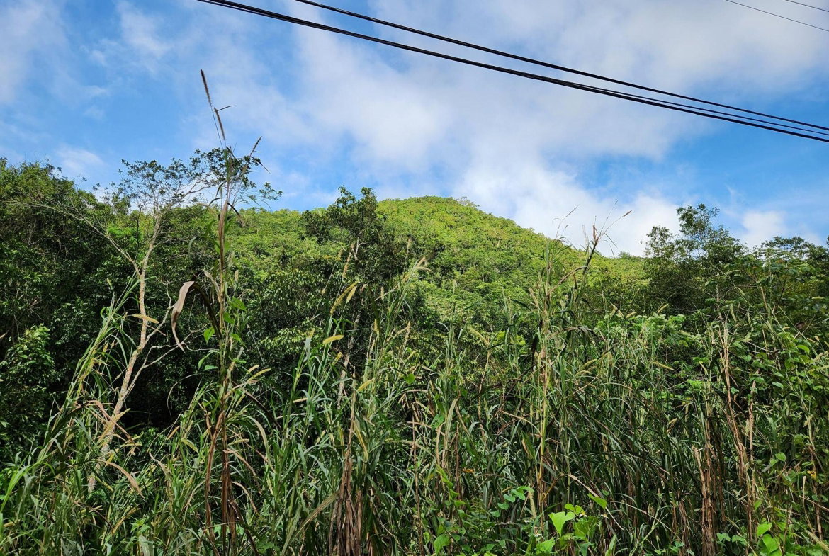 Fifth image of 5a Part of Rock Hall in Kingston 19, St. Andrew, Jamaica - property is For Sale