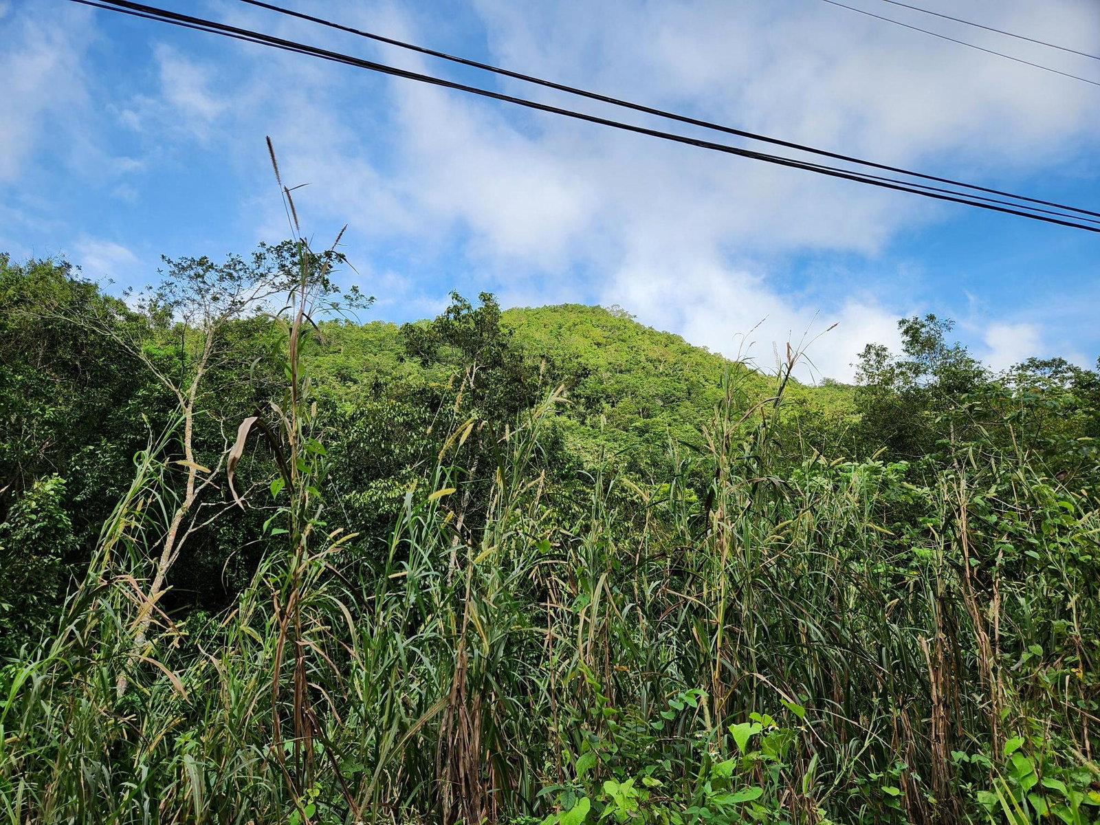 3.5-Acres-of-Prime-Residential-Land-for-Sale-in-St.-Andrew-Jamaica Fifth image of 5a Part of Rock Hall in Kingston 19, St. Andrew, Jamaica - property is For Sale