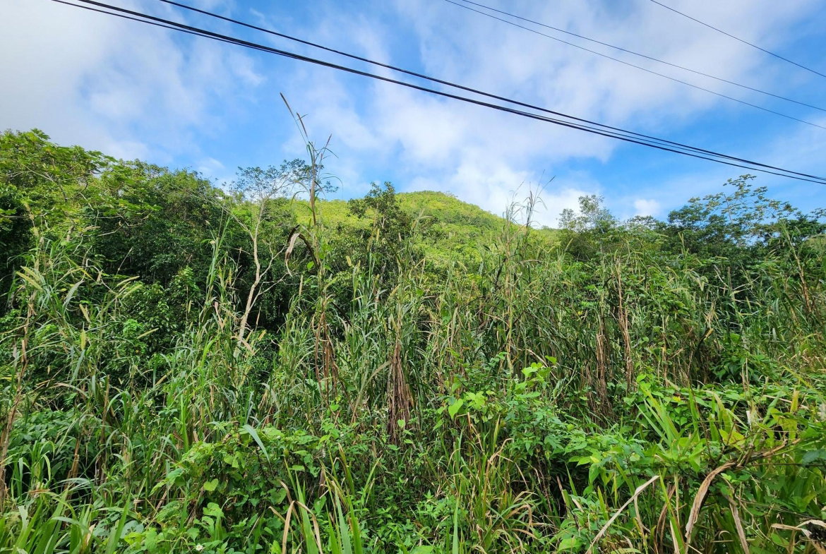 Sixth image of 5a Part of Rock Hall in Kingston 19, St. Andrew, Jamaica - property is For Sale