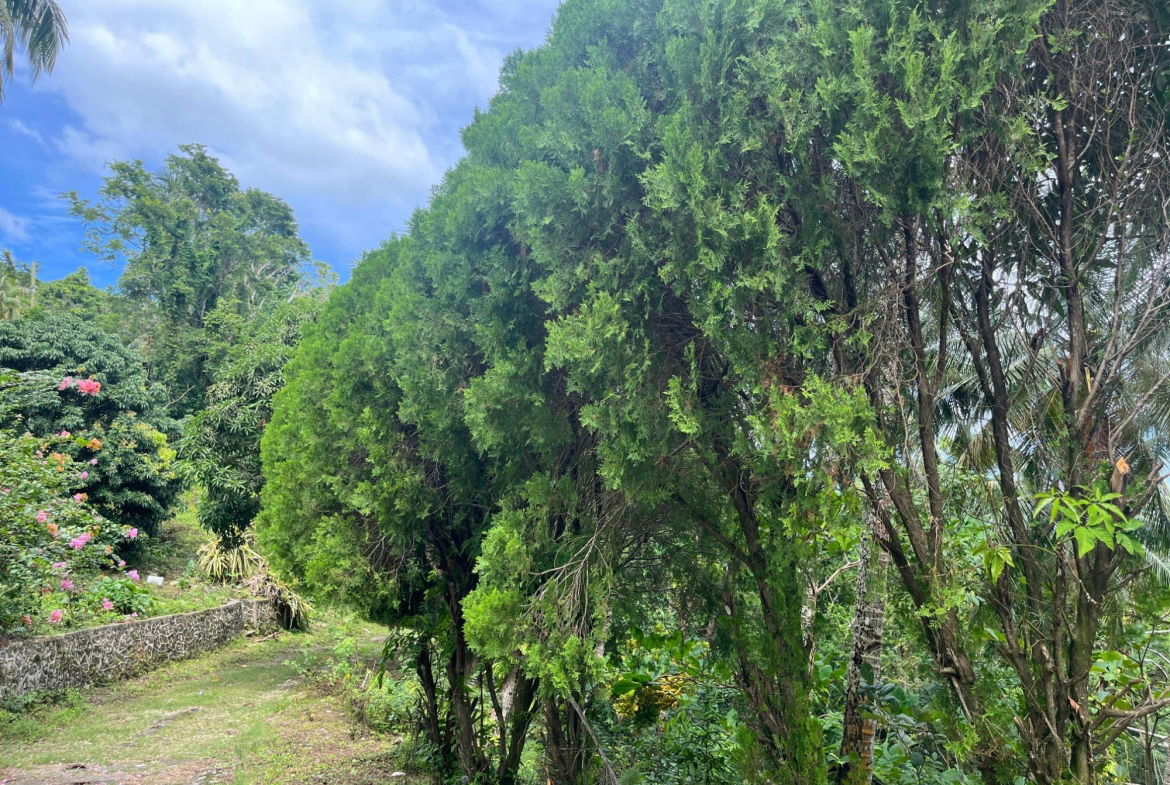 Second image of Lime Hall- st Ann in Lime Hall, St. Ann, Jamaica - property is For Sale