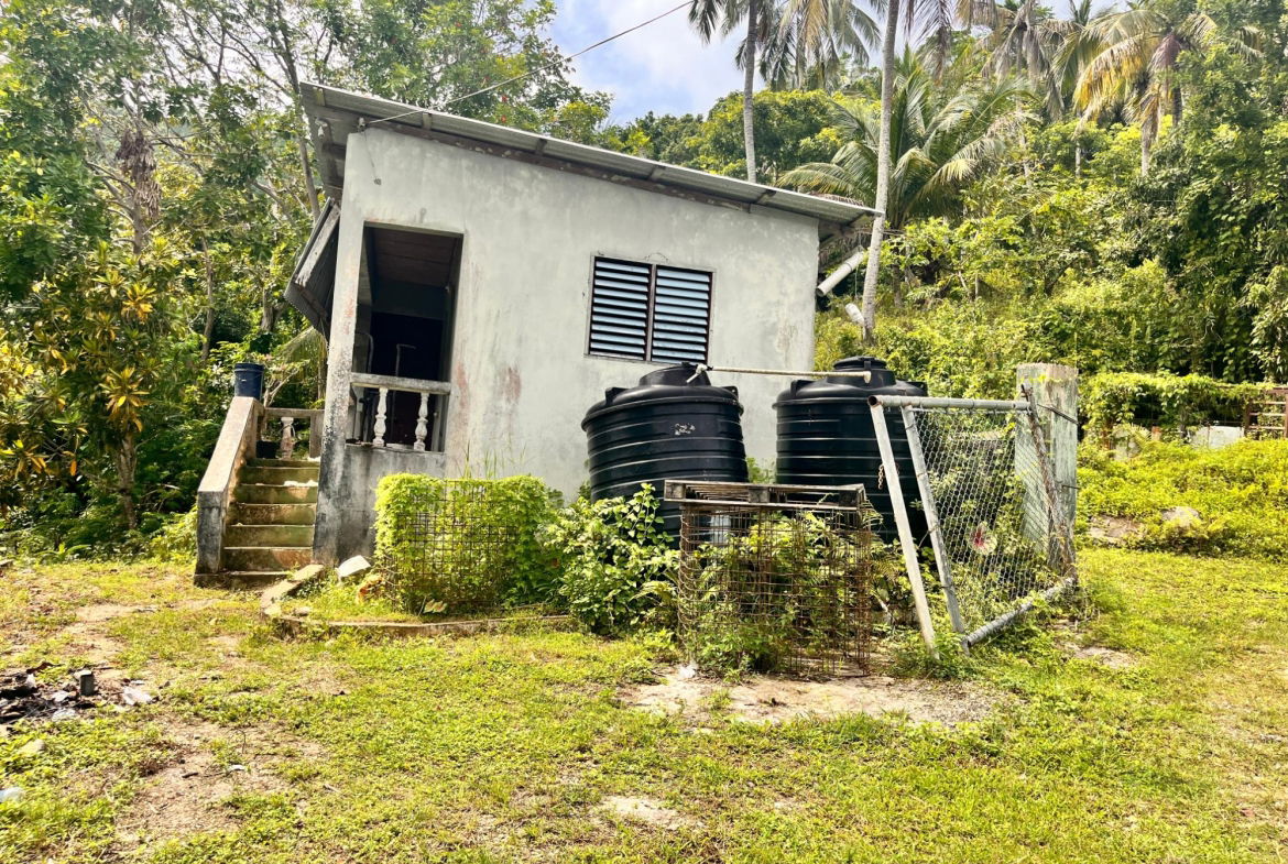 Fifteenth image of Lime Hall- st Ann in Lime Hall, St. Ann, Jamaica - property is For Sale