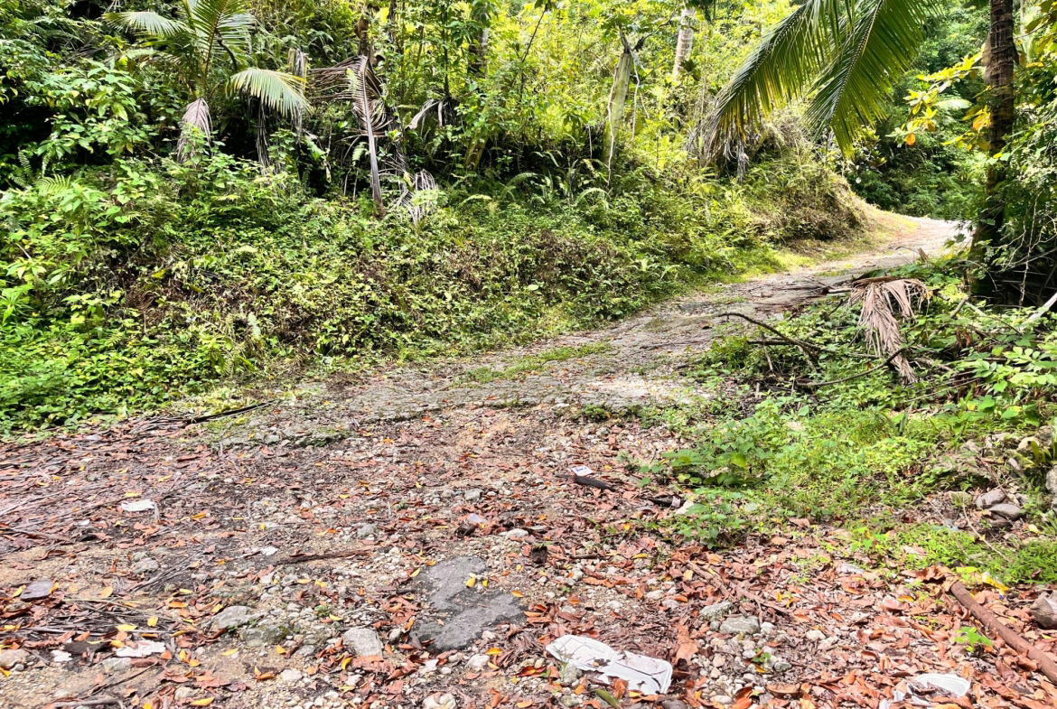 Sixteenth image of Lime Hall- st Ann in Lime Hall, St. Ann, Jamaica - property is For Sale