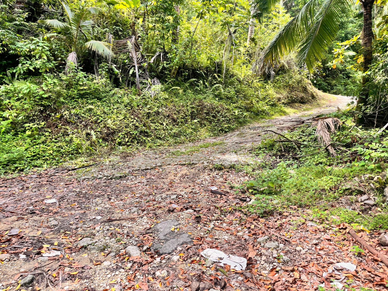 35-Acres-of-Prime-Development-Land-with-House-for-Sale-in-Lime-Hall-St-Ann Sixteenth image of Lime Hall- st Ann in Lime Hall, St. Ann, Jamaica - property is For Sale