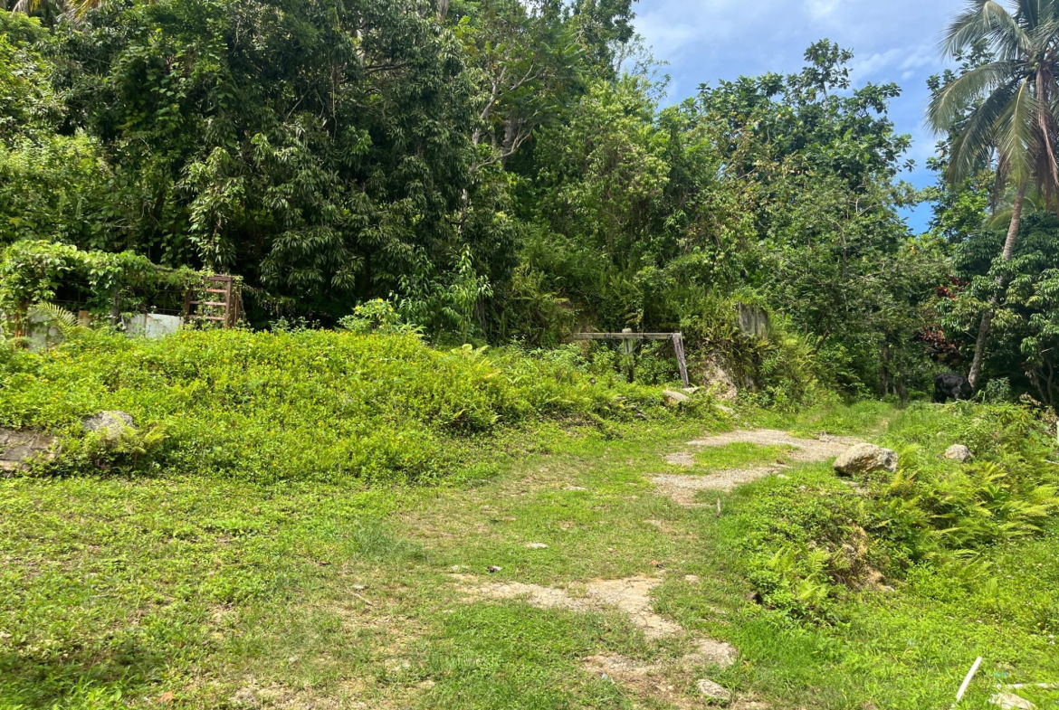 Seventeenth image of Lime Hall- st Ann in Lime Hall, St. Ann, Jamaica - property is For Sale