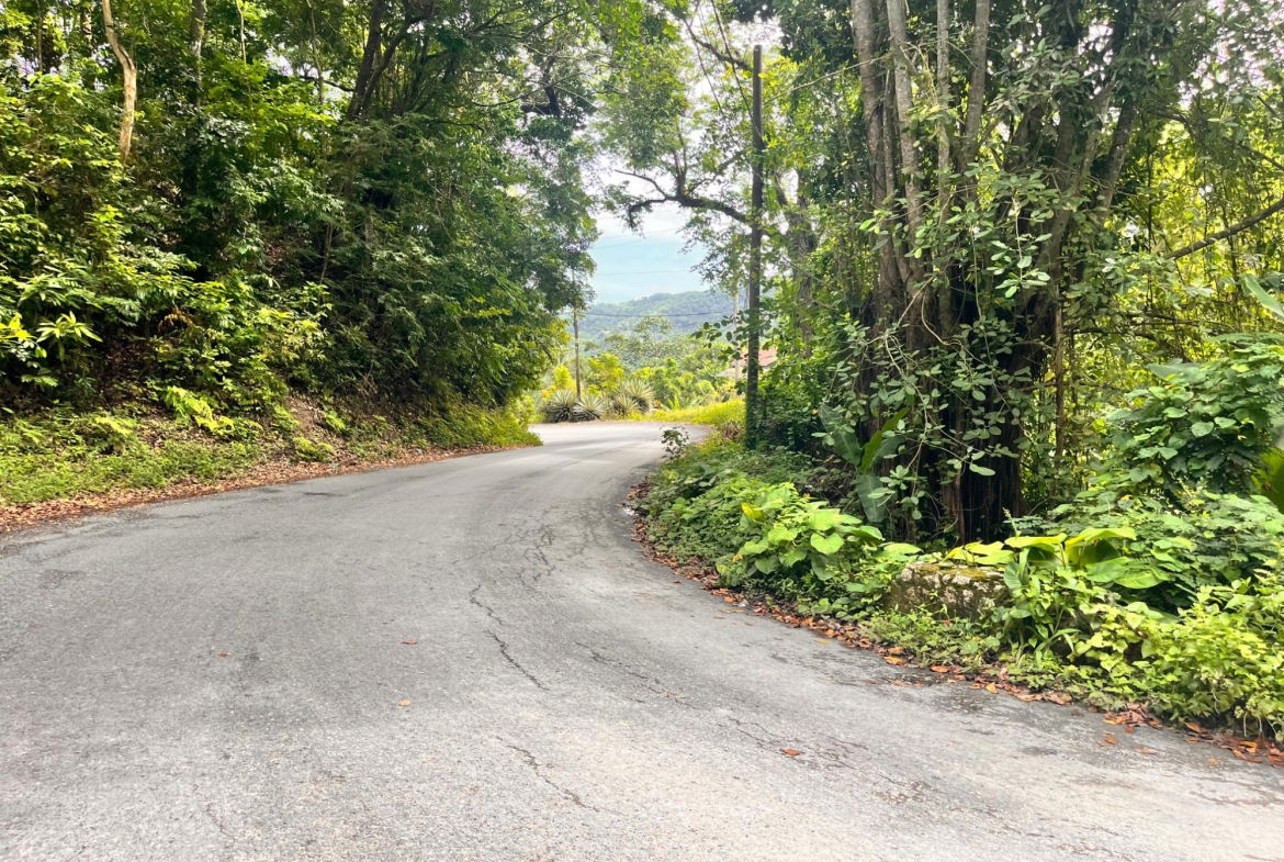 Eighteenth image of Lime Hall- st Ann in Lime Hall, St. Ann, Jamaica - property is For Sale