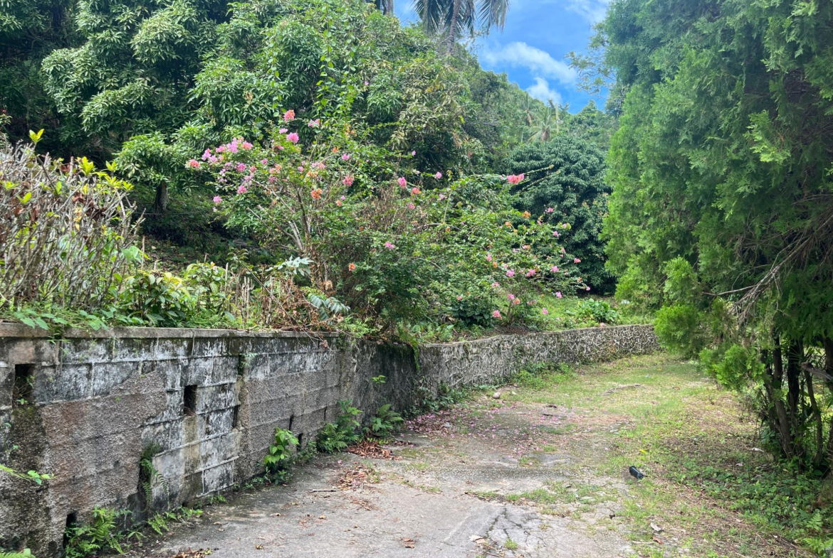 Nineteenth image of Lime Hall- st Ann in Lime Hall, St. Ann, Jamaica - property is For Sale