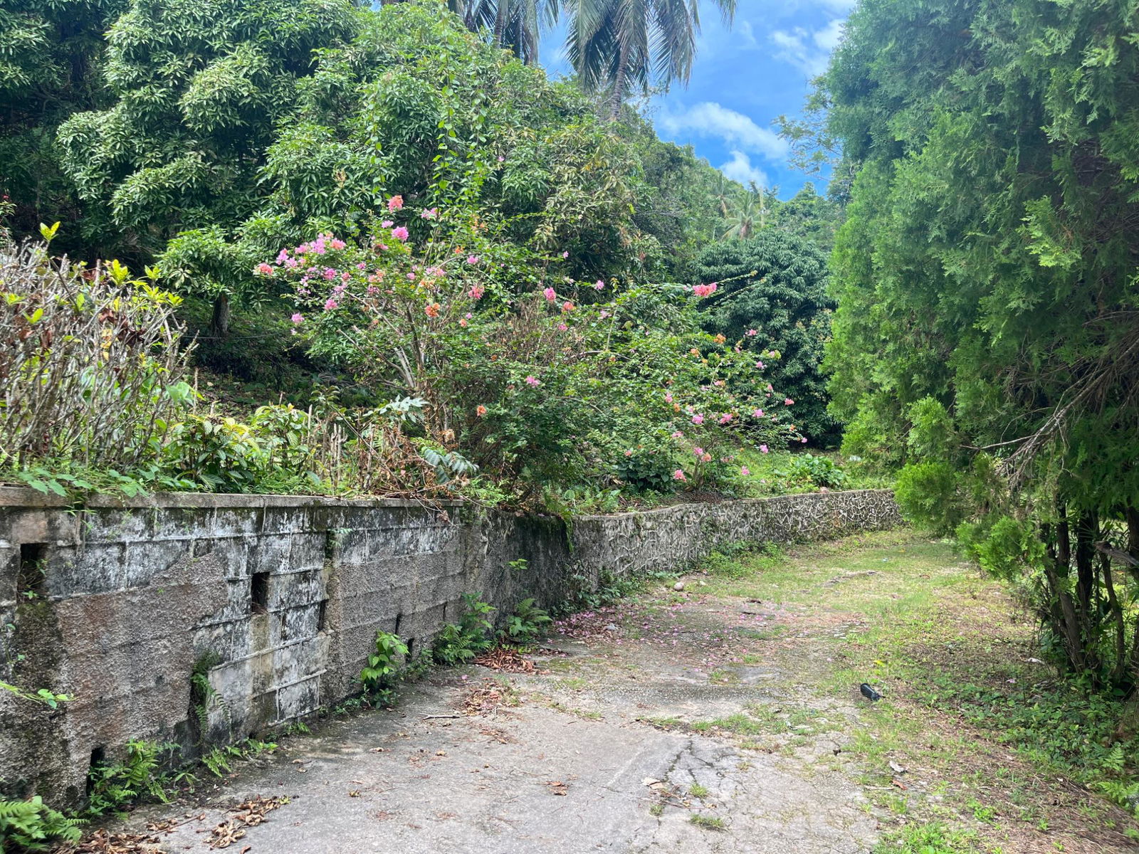 35-Acres-of-Prime-Development-Land-with-House-for-Sale-in-Lime-Hall-St-Ann Nineteenth image of Lime Hall- st Ann in Lime Hall, St. Ann, Jamaica - property is For Sale