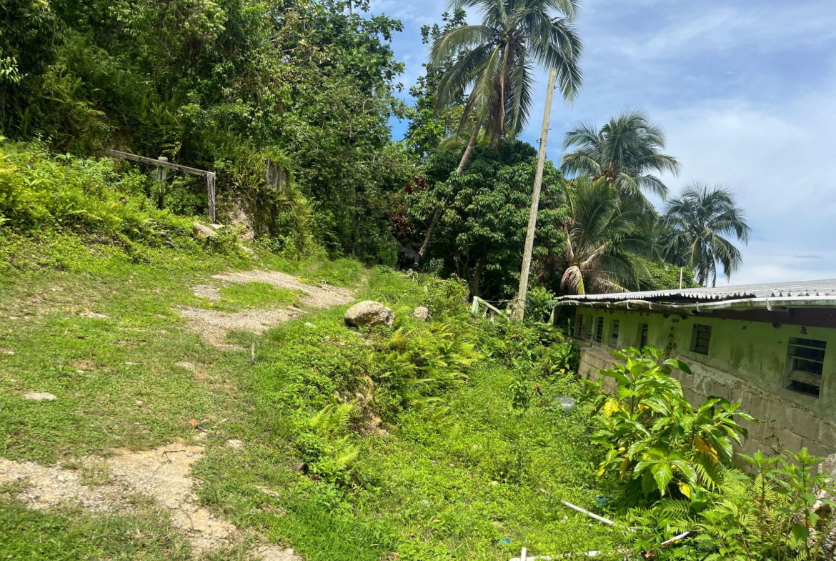 Twentieth image of Lime Hall- st Ann in Lime Hall, St. Ann, Jamaica - property is For Sale