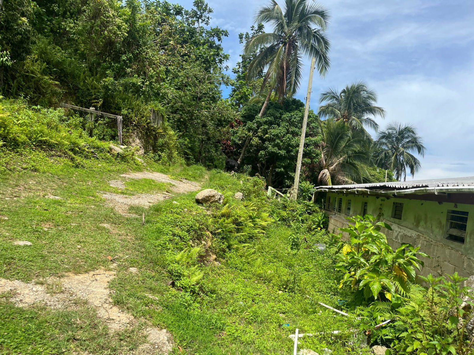 35-Acres-of-Prime-Development-Land-with-House-for-Sale-in-Lime-Hall-St-Ann Twentieth image of Lime Hall- st Ann in Lime Hall, St. Ann, Jamaica - property is For Sale