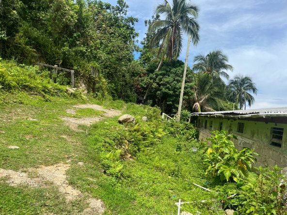 Twentieth image of Lime Hall- st Ann in Lime Hall, St. Ann, Jamaica - property is For Sale