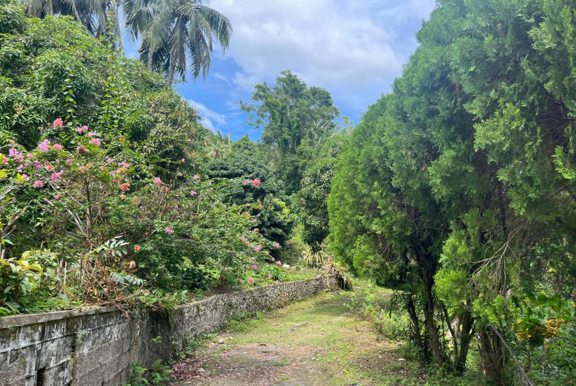 Twenty-First image of Lime Hall- st Ann in Lime Hall, St. Ann, Jamaica - property is For Sale