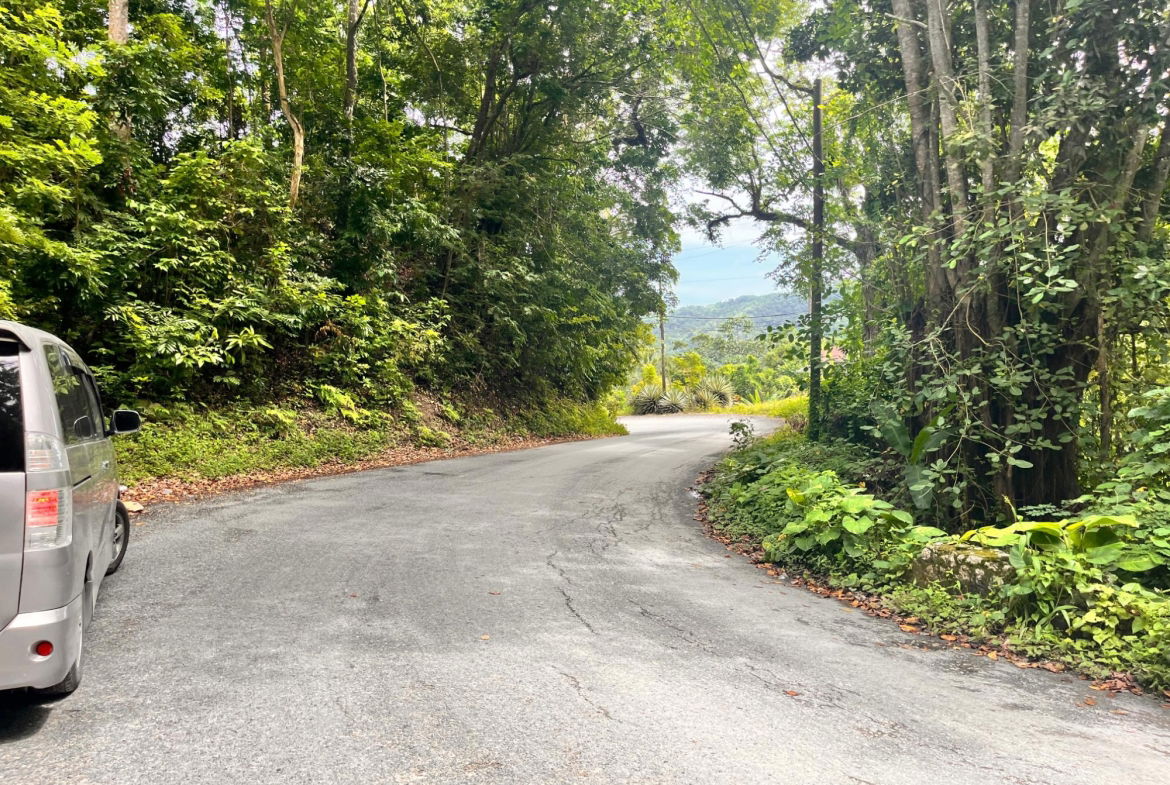 Twenty-Second image of Lime Hall- st Ann in Lime Hall, St. Ann, Jamaica - property is For Sale