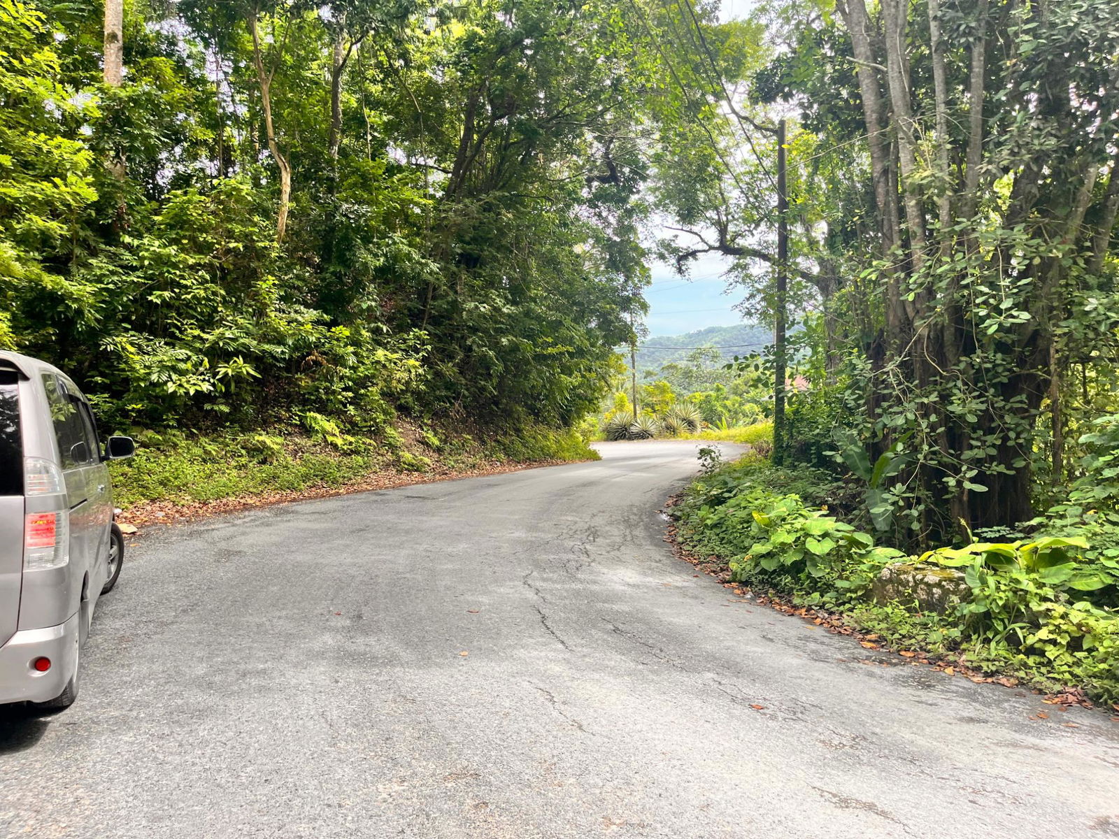 35-Acres-of-Prime-Development-Land-with-House-for-Sale-in-Lime-Hall-St-Ann Twenty-Second image of Lime Hall- st Ann in Lime Hall, St. Ann, Jamaica - property is For Sale