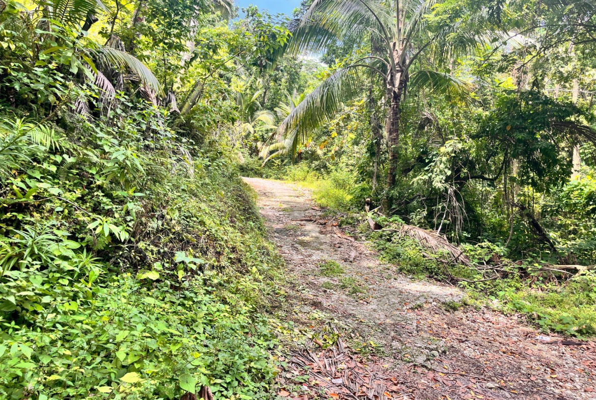 Twenty-Third image of Lime Hall- st Ann in Lime Hall, St. Ann, Jamaica - property is For Sale