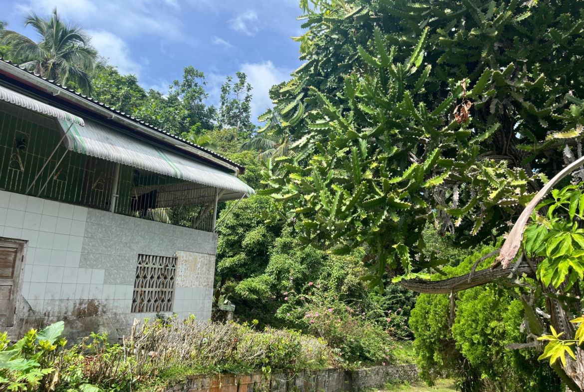 Twenty-Fourth image of Lime Hall- st Ann in Lime Hall, St. Ann, Jamaica - property is For Sale