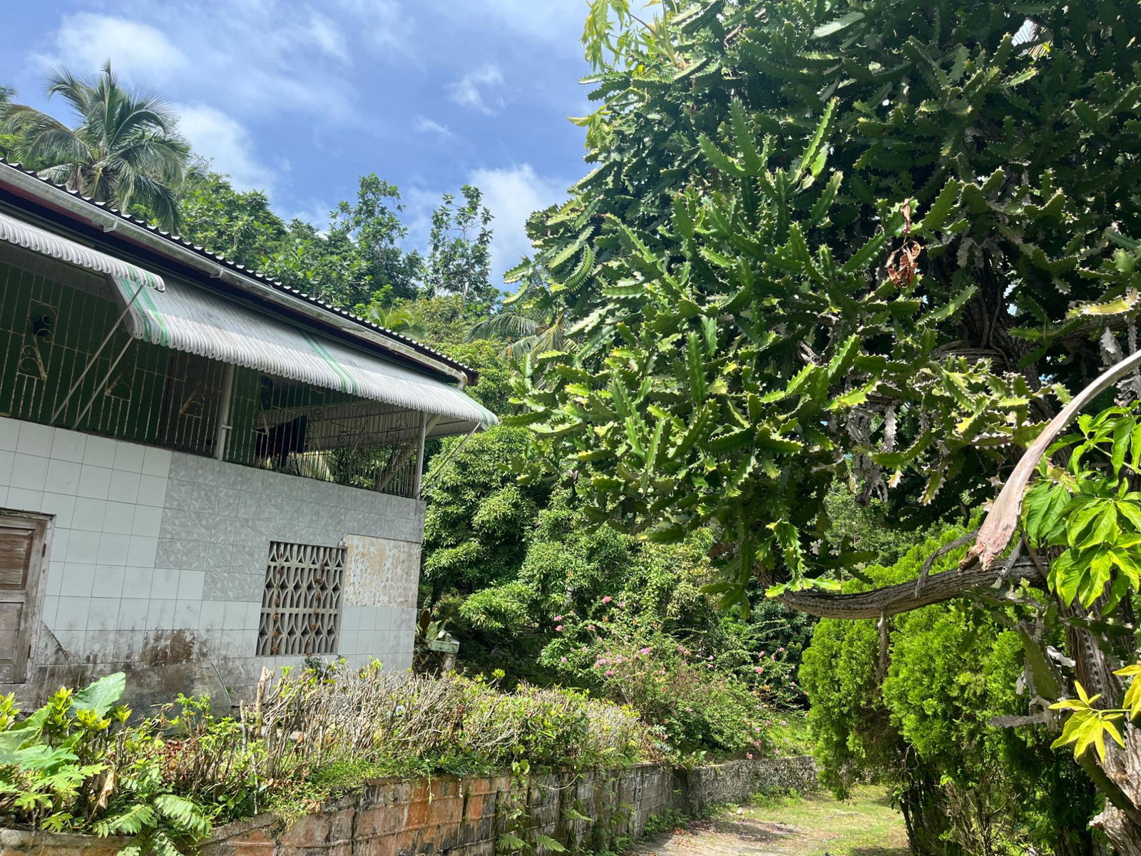 35-Acres-of-Prime-Development-Land-with-House-for-Sale-in-Lime-Hall-St-Ann Twenty-Fourth image of Lime Hall- st Ann in Lime Hall, St. Ann, Jamaica - property is For Sale