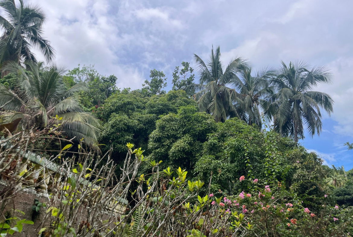 Twenty-Fifth image of Lime Hall- st Ann in Lime Hall, St. Ann, Jamaica - property is For Sale