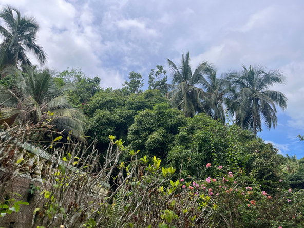 Twenty-Fifth image of Lime Hall- st Ann in Lime Hall, St. Ann, Jamaica - property is For Sale