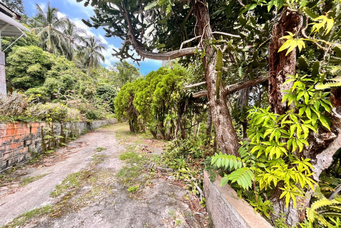 Fourth image of Lime Hall- st Ann in Lime Hall, St. Ann, Jamaica - property is For Sale